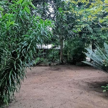 Sigiri Mango Garden Eco Resort Sigiriya Bagian luar foto