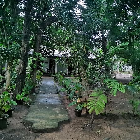 Sigiri Mango Garden Eco Resort Sigiriya Bagian luar foto