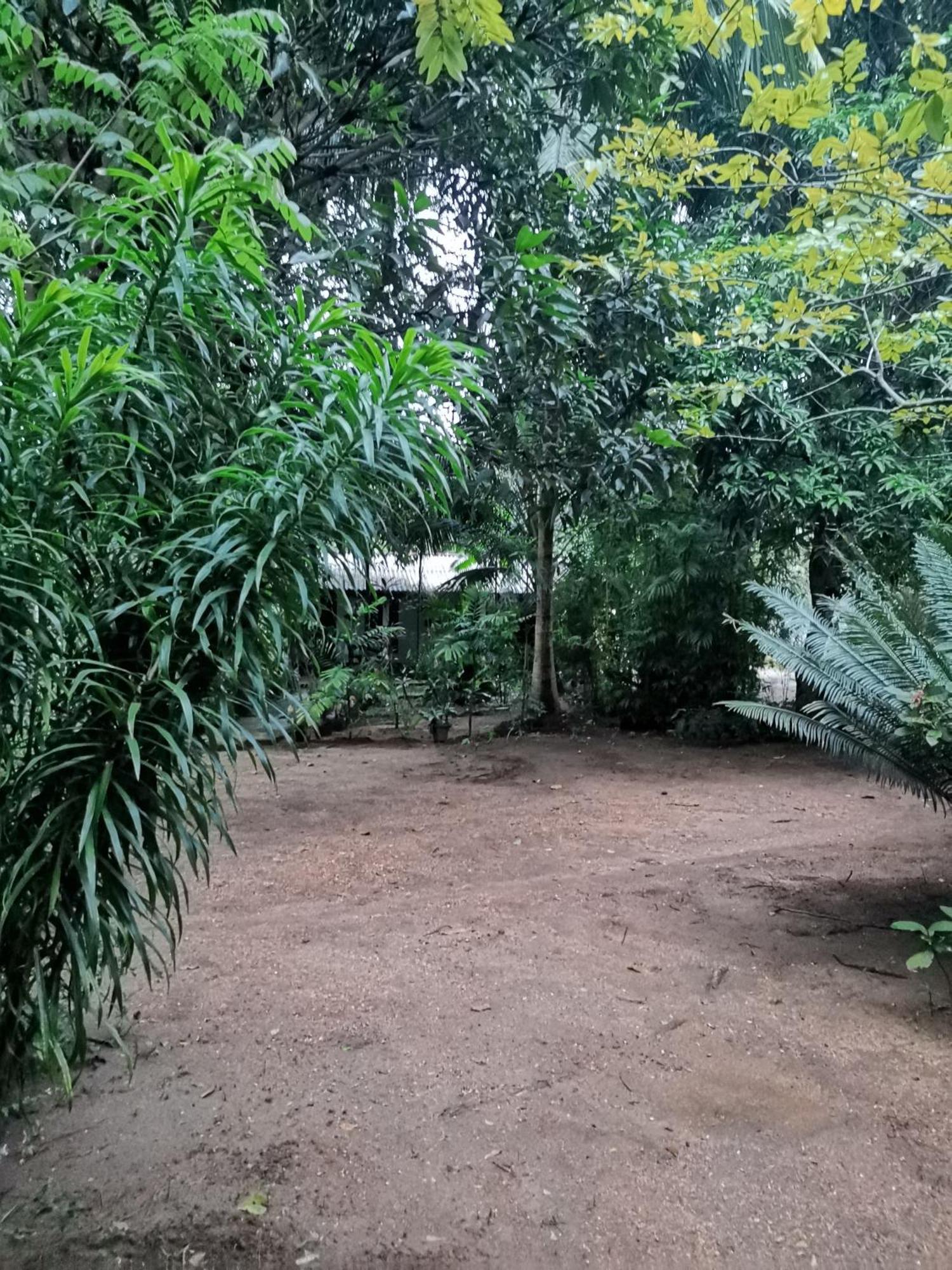 Sigiri Mango Garden Eco Resort Sigiriya Bagian luar foto