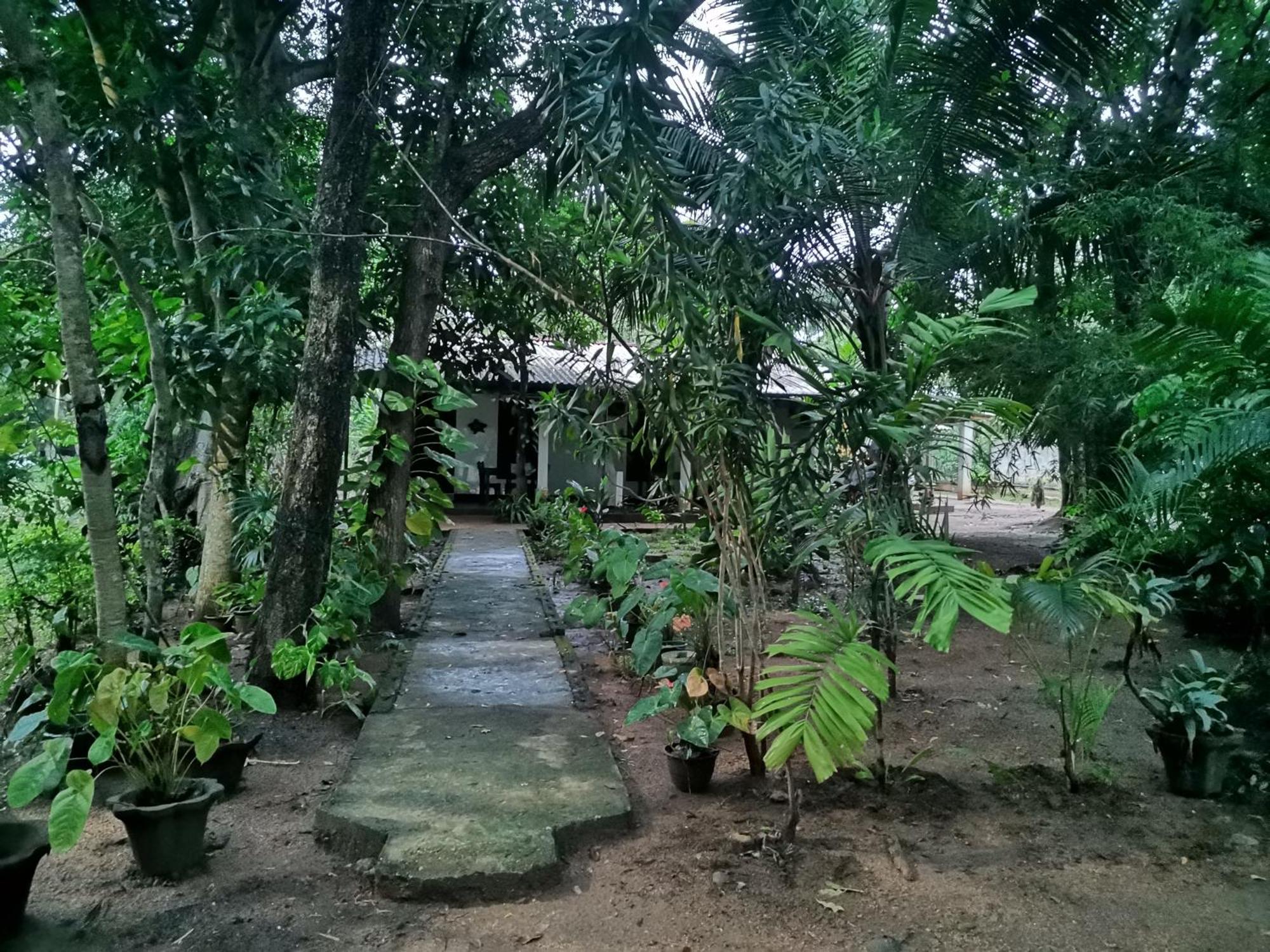 Sigiri Mango Garden Eco Resort Sigiriya Bagian luar foto