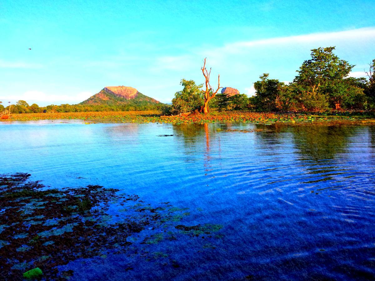 Sigiri Mango Garden Eco Resort Sigiriya Bagian luar foto