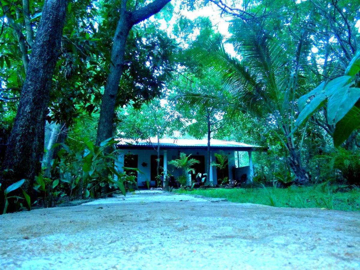 Sigiri Mango Garden Eco Resort Sigiriya Bagian luar foto